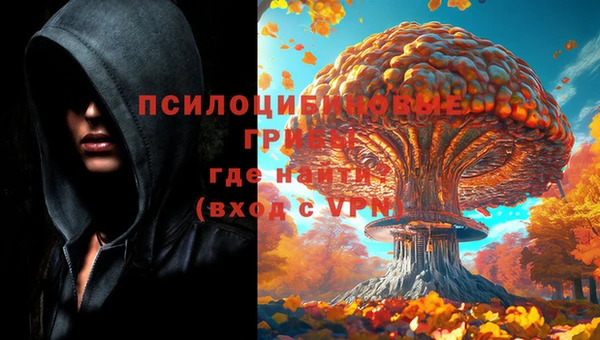 МДПВ Абдулино