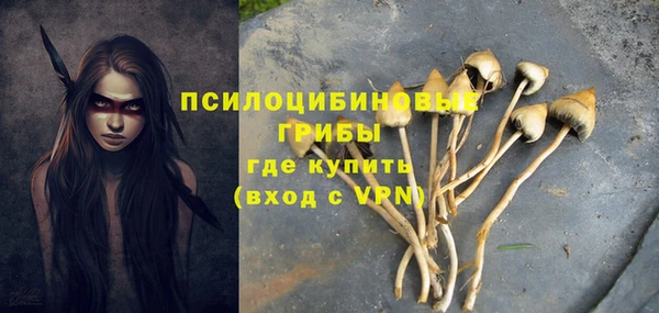 mix Абинск