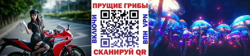 Псилоцибиновые грибы GOLDEN TEACHER  hydra как войти  Тольятти 
